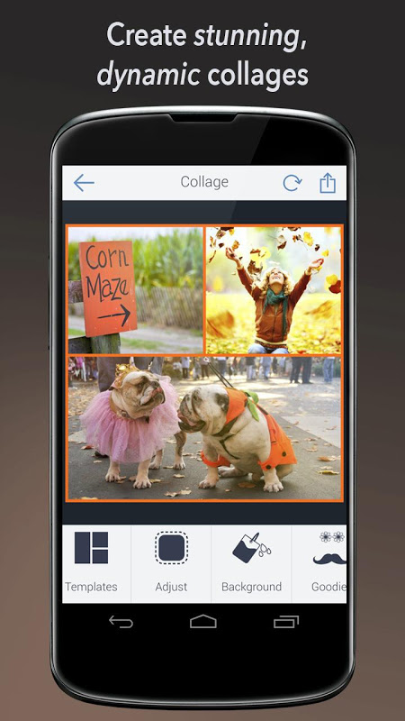 befunky photo editor pro 3.5.5 apk