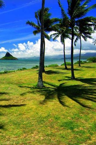 Hawaii Scenery Wallpaper Apks Android Apk