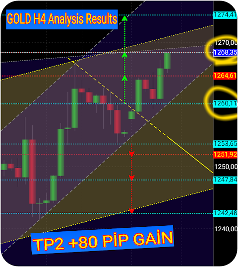 Daily Forex Analysis 18 0 Apk Download By Ozturk Android Apk - 